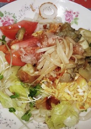 新生姜ぶっかけうどん夏野菜乗せ-レシピのメイン写真