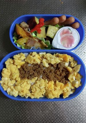 年中 幼稚園弁当 7/20-レシピのメイン写真