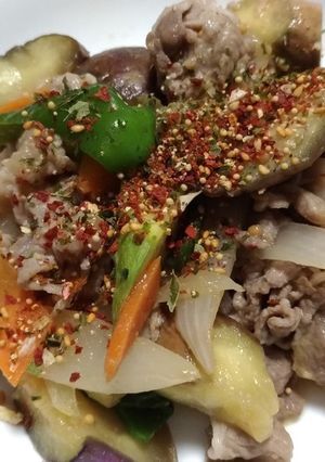 豚肉と夏野菜の味噌炒め+HIFUMI-レシピのメイン写真