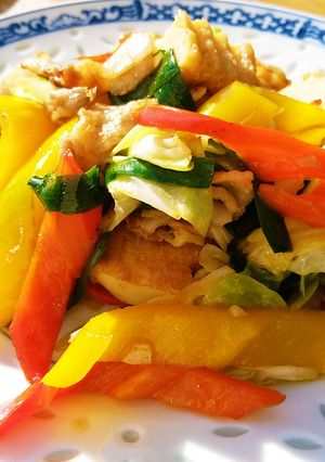 パプリカの中華炒め-レシピのメイン写真