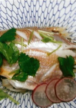連子鯛の重ね蒸し-レシピのメイン写真