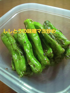 ししとうのみそマヨ炒め-レシピのメイン写真