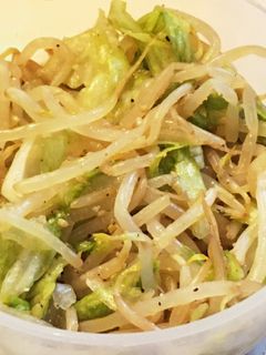 もやしとレタスのポン酢サラダ-レシピのメイン写真