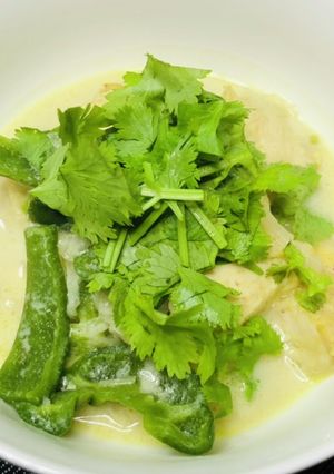 鶏胸肉のココナツミルク煮込み-レシピのメイン写真