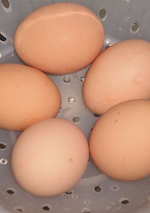 冷たい卵を数分で室温に戻す（？）方法-レシピのメイン写真