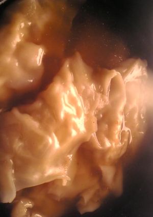 鶏ひき肉と玉葱の生姜風味ワンタンスープ-レシピのメイン写真
