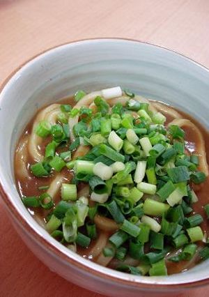 ねぎ沢山のカレーうどん-レシピのメイン写真