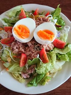 ツナと卵のサラダうどん-レシピのメイン写真