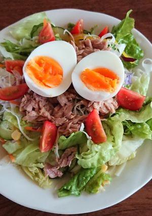 ツナと卵のサラダうどん-レシピのメイン写真