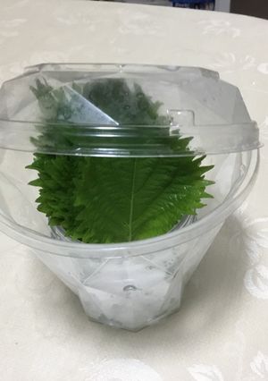 大葉の保存法-レシピのメイン写真