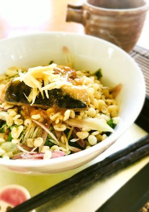 さばのみぞれ煮と納豆のぼっかけ素麺-レシピのメイン写真