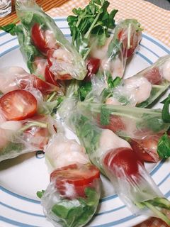 海老とトマトの生春巻き-レシピのメイン写真