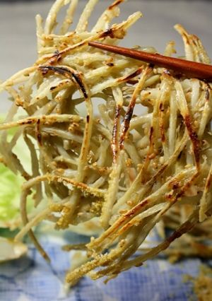 焼き揚げカリッと☆ごぼう天-レシピのメイン写真