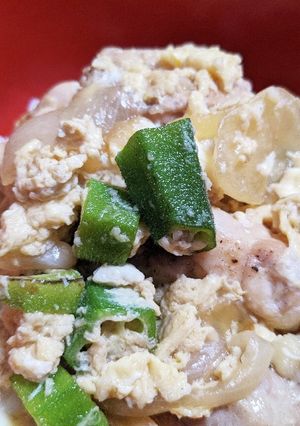 夏の親子丼！オクラ×旨塩☆鍋一つで作る-レシピのメイン写真