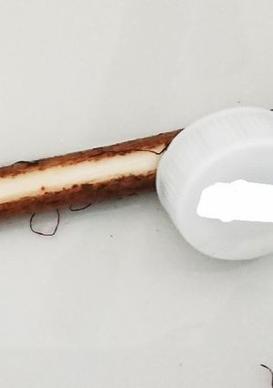 ごぼうの皮むき-レシピのメイン写真