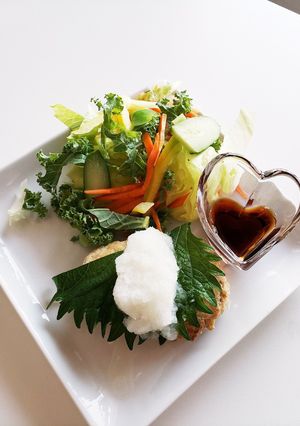 夏はさっぱりおろしポン酢豆腐ハンバーグ-レシピのメイン写真