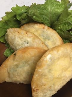 好きな物入れました 豆腐の揚げ餃子-レシピのメイン写真