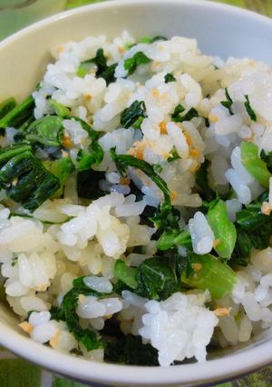 大根葉と鮭フレークの菜飯-レシピのメイン写真