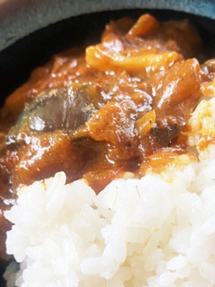 農家の夏野菜カレー-レシピのメイン写真