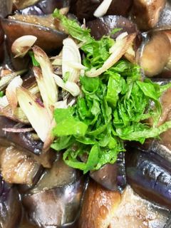 簡単♪調味料3つ♪茄子の焼きびたし-レシピのメイン写真