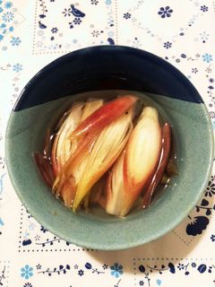 みょうがのカンタン酢漬け-レシピのメイン写真