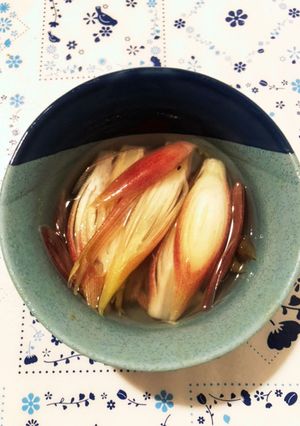 みょうがのカンタン酢漬け-レシピのメイン写真