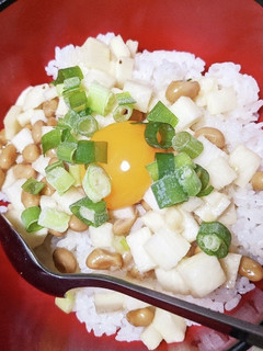 簡単!ネバネバ丼☆納豆×長芋醤油だし味-レシピのメイン写真