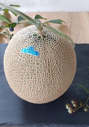 【野菜ソムリエ】京たんごメロンの食べごろ-レシピのメイン写真