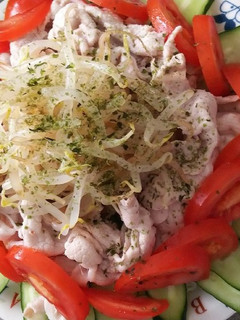 豚ロースしゃぶしゃぶヘルシーサラダ♪-レシピのメイン写真