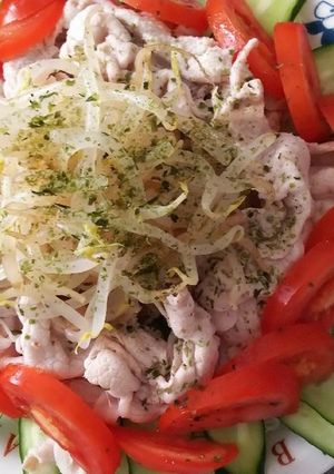 豚ロースしゃぶしゃぶヘルシーサラダ♪-レシピのメイン写真