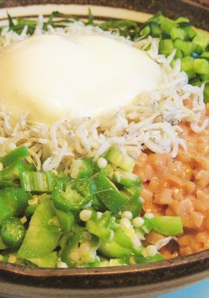 〖 しらすと納豆ときゅうりのバクダン丼〗-レシピのメイン写真