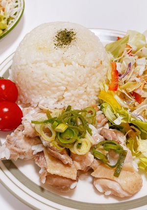 炊飯器ワンプレート ねぎ塩チキン-レシピのメイン写真