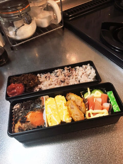 焼き鮭の定番弁当-レシピのメイン写真