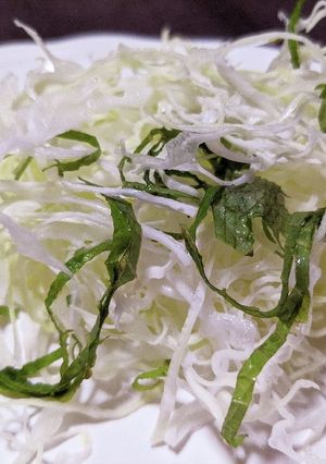 大葉入り千切りキャベツ-レシピのメイン写真