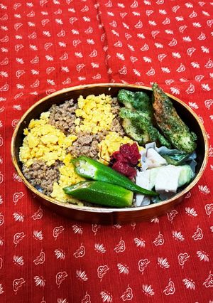 そぼろと竹輪磯辺揚げ弁当-レシピのメイン写真