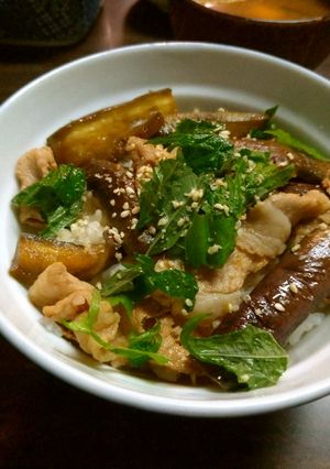 さっぱり！にんにくとなすのスタミナ丼-レシピのメイン写真
