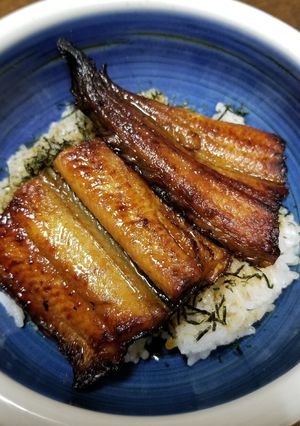 簡単♪生のうなぎde蒲焼き-レシピのメイン写真
