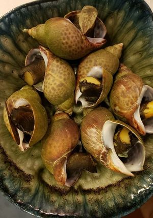 ～おつまみに～バイ貝煮-レシピのメイン写真