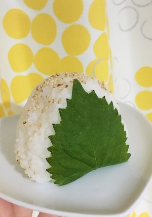 梅酢でおにぎり-レシピのメイン写真