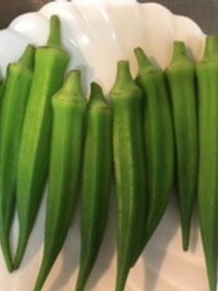 オクラの塩茹で-レシピのメイン写真