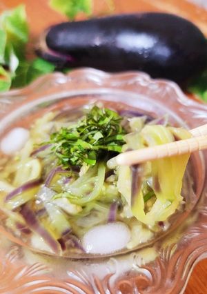 簡単♪ひんやりつるつる茄子麺-レシピのメイン写真