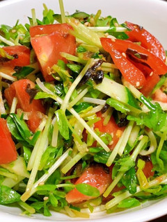 5分でできる◉豆苗の塩昆布サラダ-レシピのメイン写真