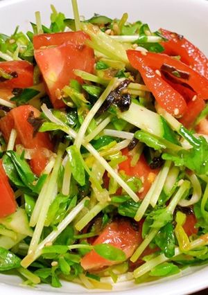5分でできる◉豆苗の塩昆布サラダ-レシピのメイン写真