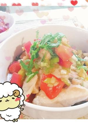 しっとり鶏むね肉のさっぱり香味ねぎだれ-レシピのメイン写真