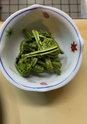 山菜　こごみ-レシピのメイン写真