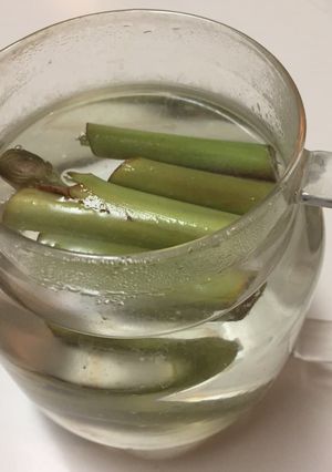 月桃 茎のお茶-レシピのメイン写真