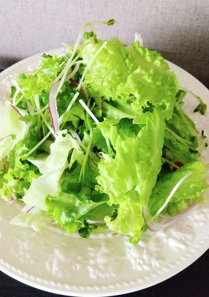 サラダ　保存　酢-レシピのメイン写真
