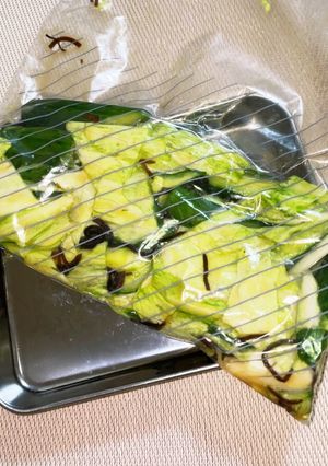 きゅうりとキャベツのさっぱり塩こんぶ和え-レシピのメイン写真