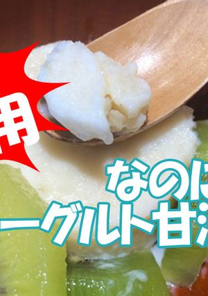 プロが教える甘酒ヨーグルトアイス、レシピ-レシピのメイン写真