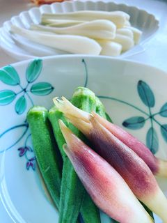 【簡単】オクラとミョウガの麺つゆ漬け-レシピのメイン写真